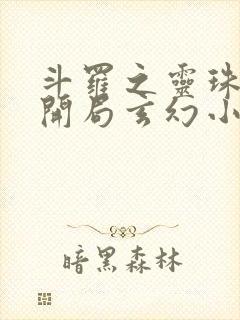 斗罗之灵珠神剑开局玄幻小猪txt