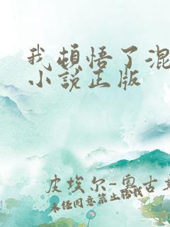 我顿悟了混沌体小说正版