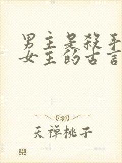 男主是杀手囚禁女主的古言