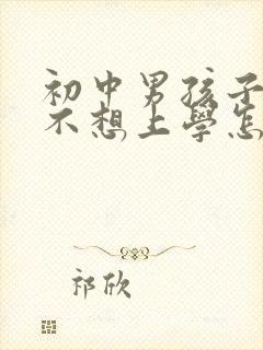 初中男孩子叛逆不想上学怎么办