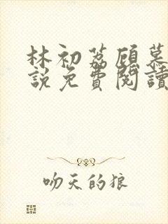 林初荔顾慕辰小说免费阅读最新章节