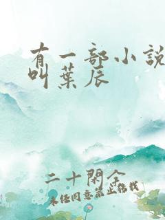 有一部小说主角叫叶辰