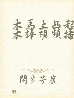 木马上凸起电动木棒视频播放