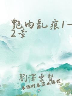 艳肉乱痕1—12章