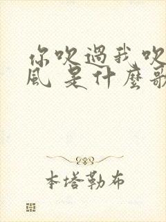 你吹过我吹过的风 是什么歌