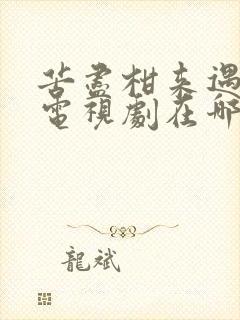 苦尽柑来遇见你电视剧在哪个平台