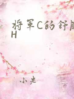 将军C的舒服么H