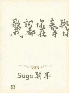 歌词你来与不来,我都在等你歌词是什么