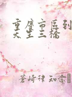 重庆市区到武隆天生三桥