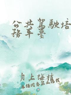 公共驾驶培训服务平台