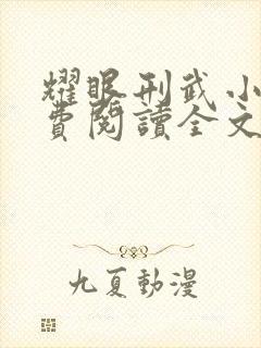 耀眼刑武小说免费阅读全文最新章节