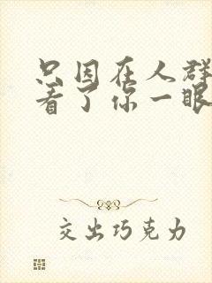 只因在人群中多看了你一眼是什么歌