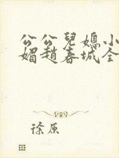 公公儿媳小说苏媚赵春城全文阅读