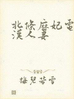 北条麻妃电车痴汉人妻