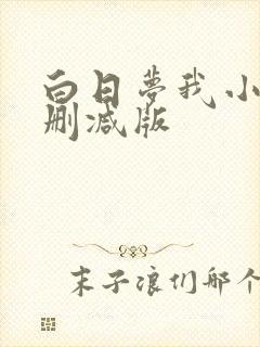 白日梦我小说无删减版