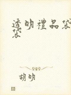 透明礼品袋手提袋