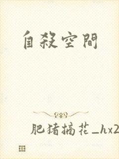 自杀空间