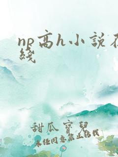 np高h小说在线