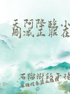 天阿降临小说无删减正版在线阅读