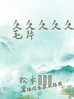 久久久久久国产毛片