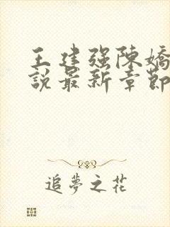 王建强陈娇娇小说最新章节更新