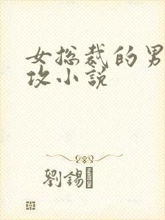 女总裁的男宠女攻小说