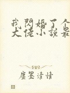 我闪婚了个财阀大佬小说最新章节