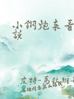 小钢炮来看我小说