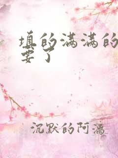 填的满满的 不要了