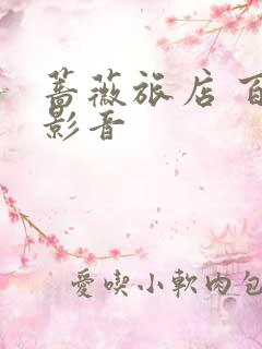 蔷薇旅店 百度影音