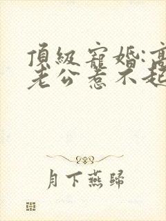 顶级宠婚:高冷老公惹不起