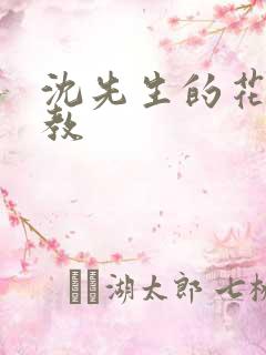 沈先生的花式调教