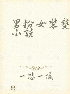 男扮女装双男主小说