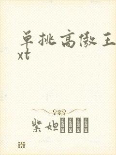单挑高傲王子txt