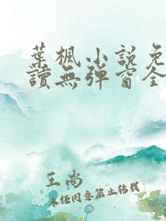 叶枫小说免费阅读无弹窗全文