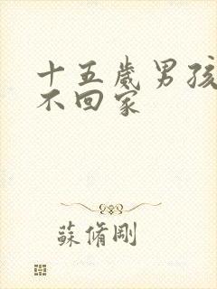 十五岁男孩叛逆不回家