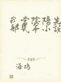 我当阴阳先生的那几年小说免费阅读