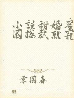 小说甜婚蜜爱帝国总裁就宠我