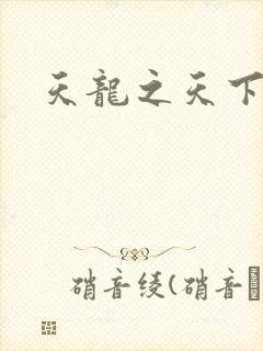 天龙之天下有我