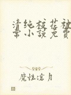 清纯校花被擒日常小说免费阅读全文