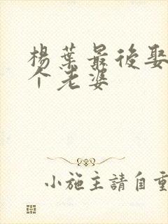 杨叶最后娶了几个老婆