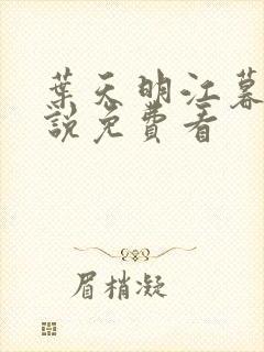 叶天明江暮婉小说免费看