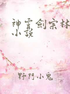 神霄剑宗林枫的小说