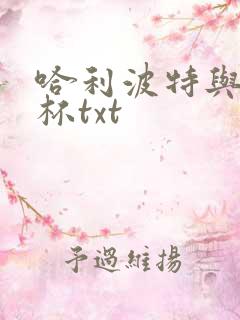 哈利波特与火焰杯txt