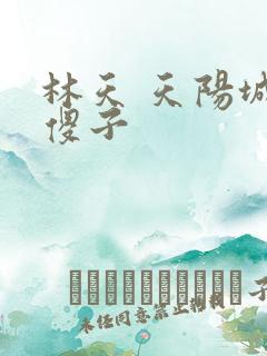 林天 天阳城 傻子