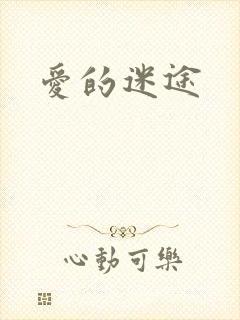 爱的迷途