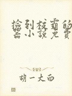 捡到校霸的遥控器小说免费阅读