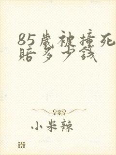 85岁被撞死应赔多少钱