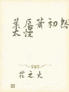 叶辰萧初然更新太慢