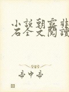 小说朝露非木非石全文阅读